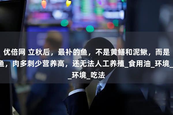 优倍网 立秋后，最补的鱼，不是黄鳝和泥鳅，而是这4鱼，肉多刺少营养高，还无法人工养殖_食用油_环境_吃法